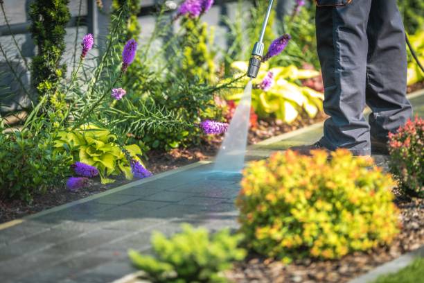 Professional Pressure Washing Services in Big Lake, MN
